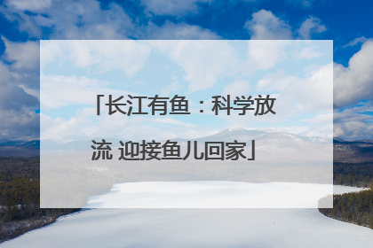 长江有鱼：科学放流 迎接鱼儿回家